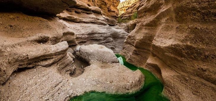 کال جنی طبس